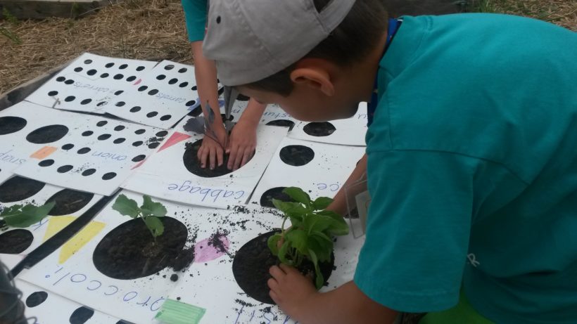 Charitable Grants Help Youth Gardens Flourish