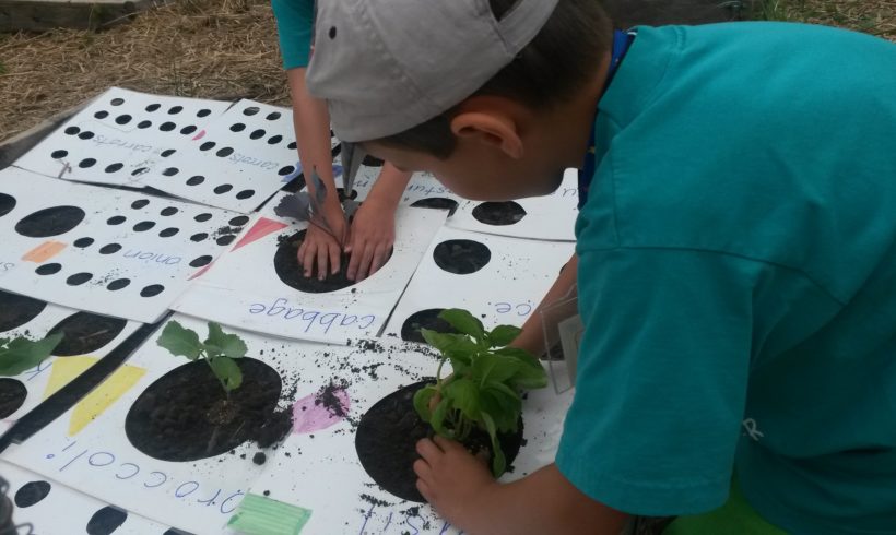 Charitable Grants Help Youth Gardens Flourish