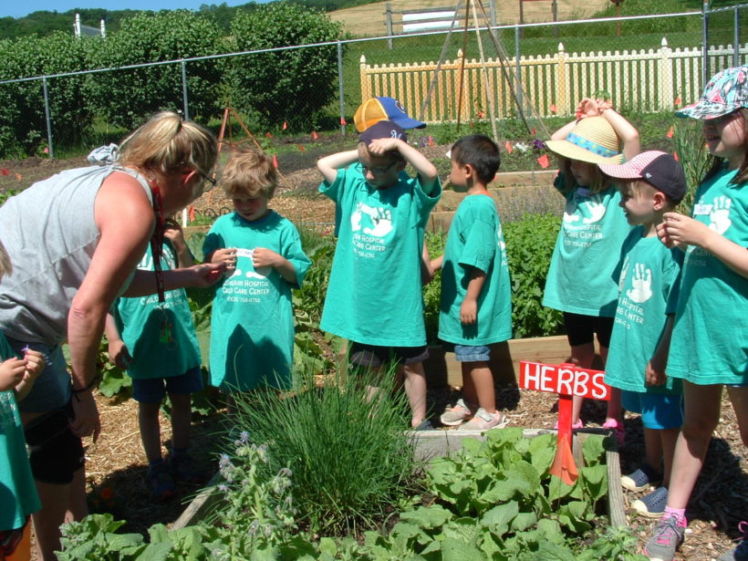 Harvest Celebration