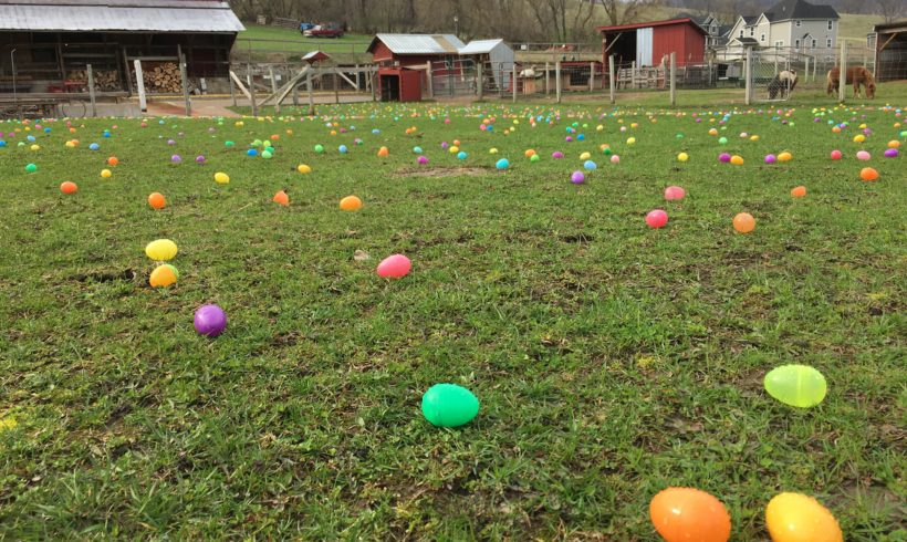 Easter Egg Hunt