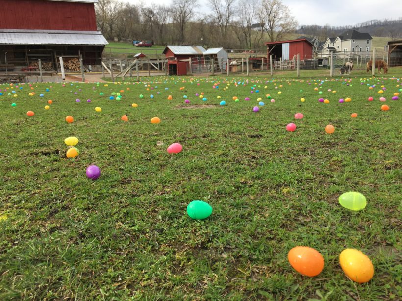 Easter Egg Hunt