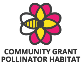 Clearwater Farm Helps Native Pollinators in the Midwest