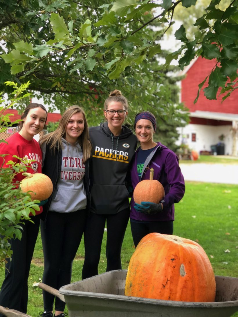 A Bountiful Fall Harvest