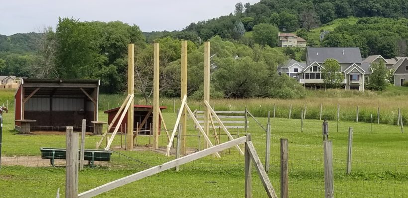 Eagle Scout Builds a Goat Playground