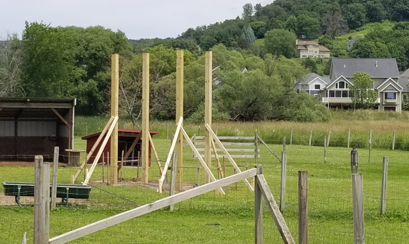 Eagle Scout Builds a Goat Playground