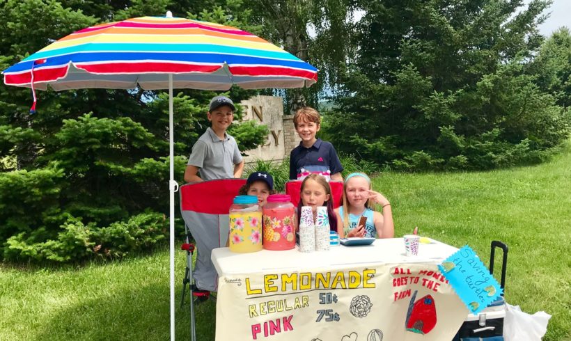 A Lemonade Stand for a Cause