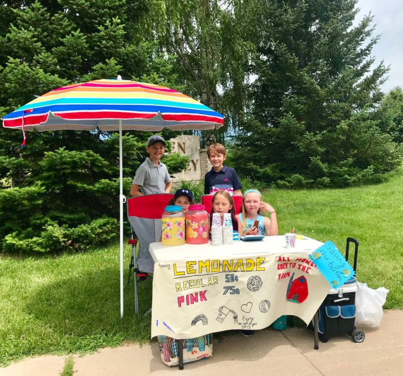 A Lemonade Stand for a Cause