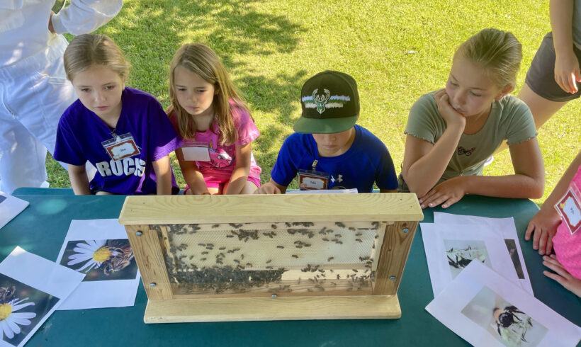 Summer Camp Introduces Kids To Beekeeping