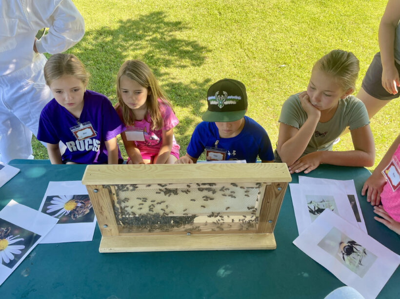 Summer Camp Introduces Kids To Beekeeping